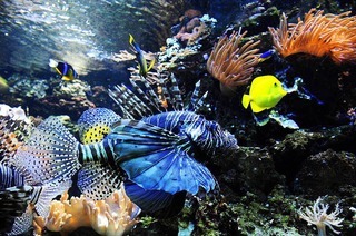 Zooaquarium Mundenhof