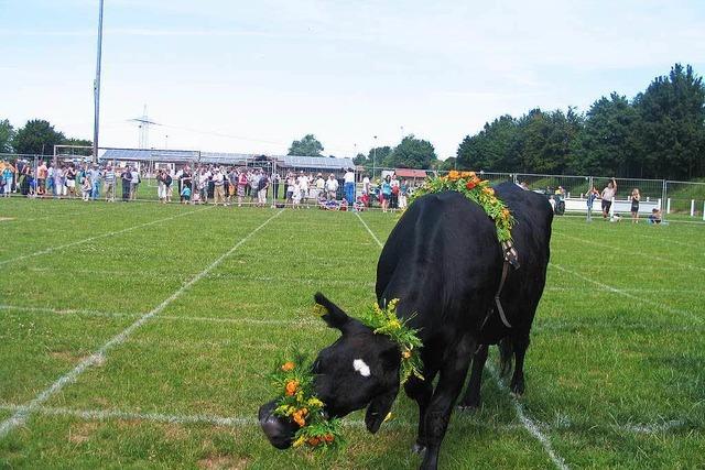 Sportplatz